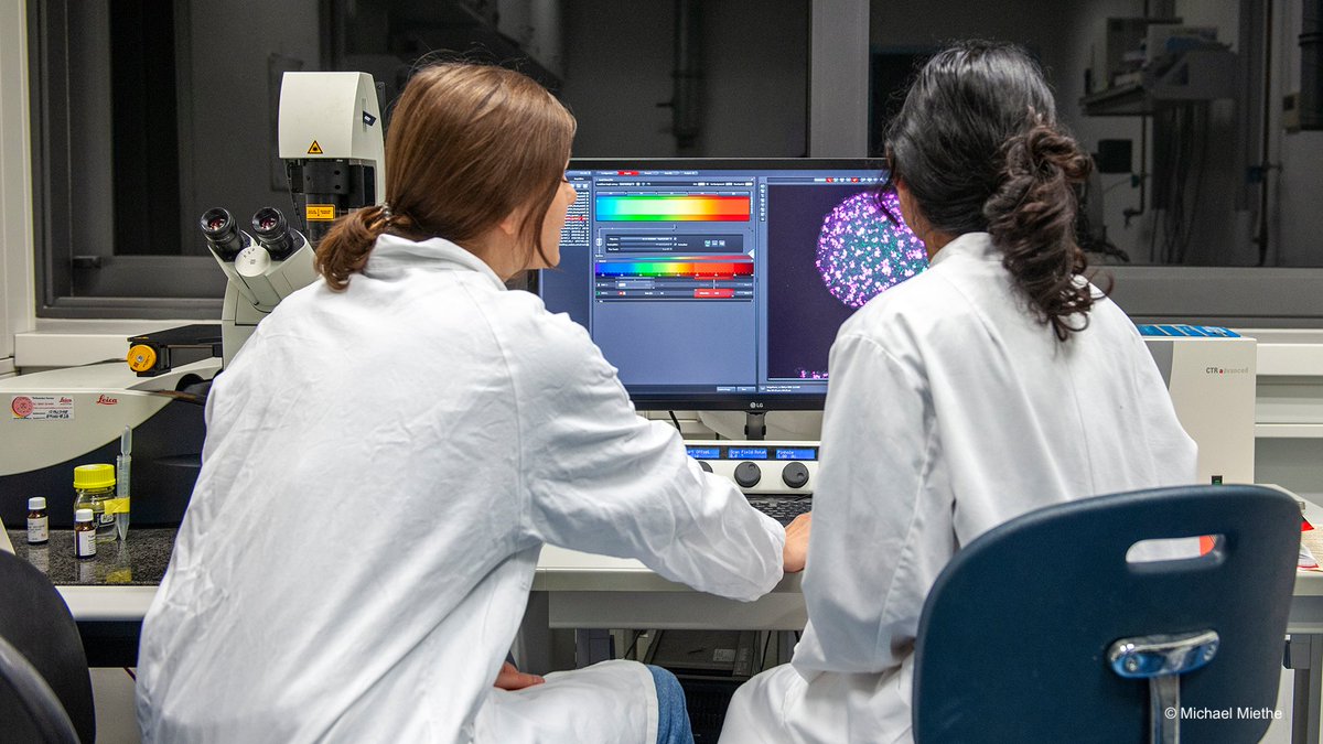 Mit wissenschaftlichen Phänomenen für MINT-Studiengänge begeistern – Universität Heidelberg will junge Talente mit neuen Angeboten für Mathematik, Informatik, Naturwissenschaften und Technik gewinnen
uni-heidelberg.de/de/newsroom/mi…