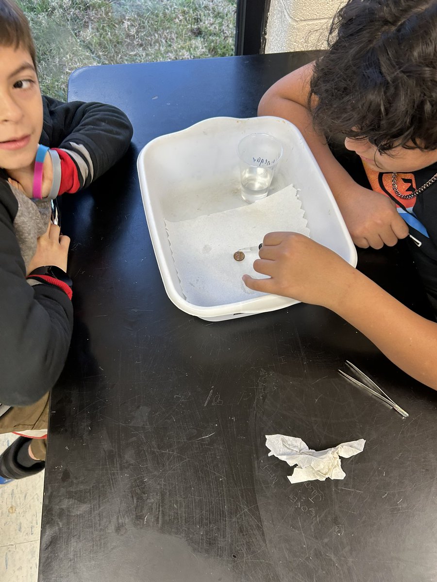 Amy Kuhler tweet media