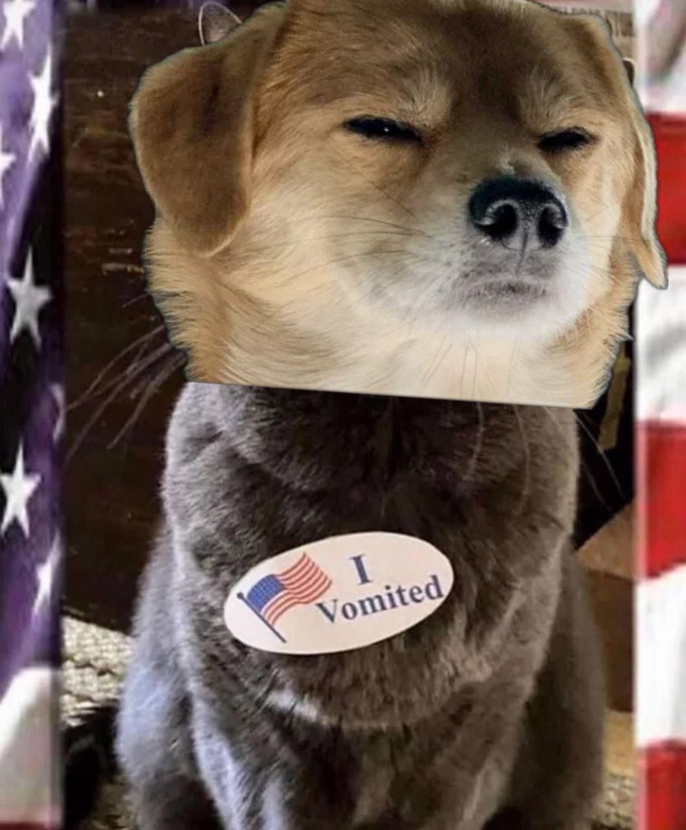 $AKIRA vomited today in the morning