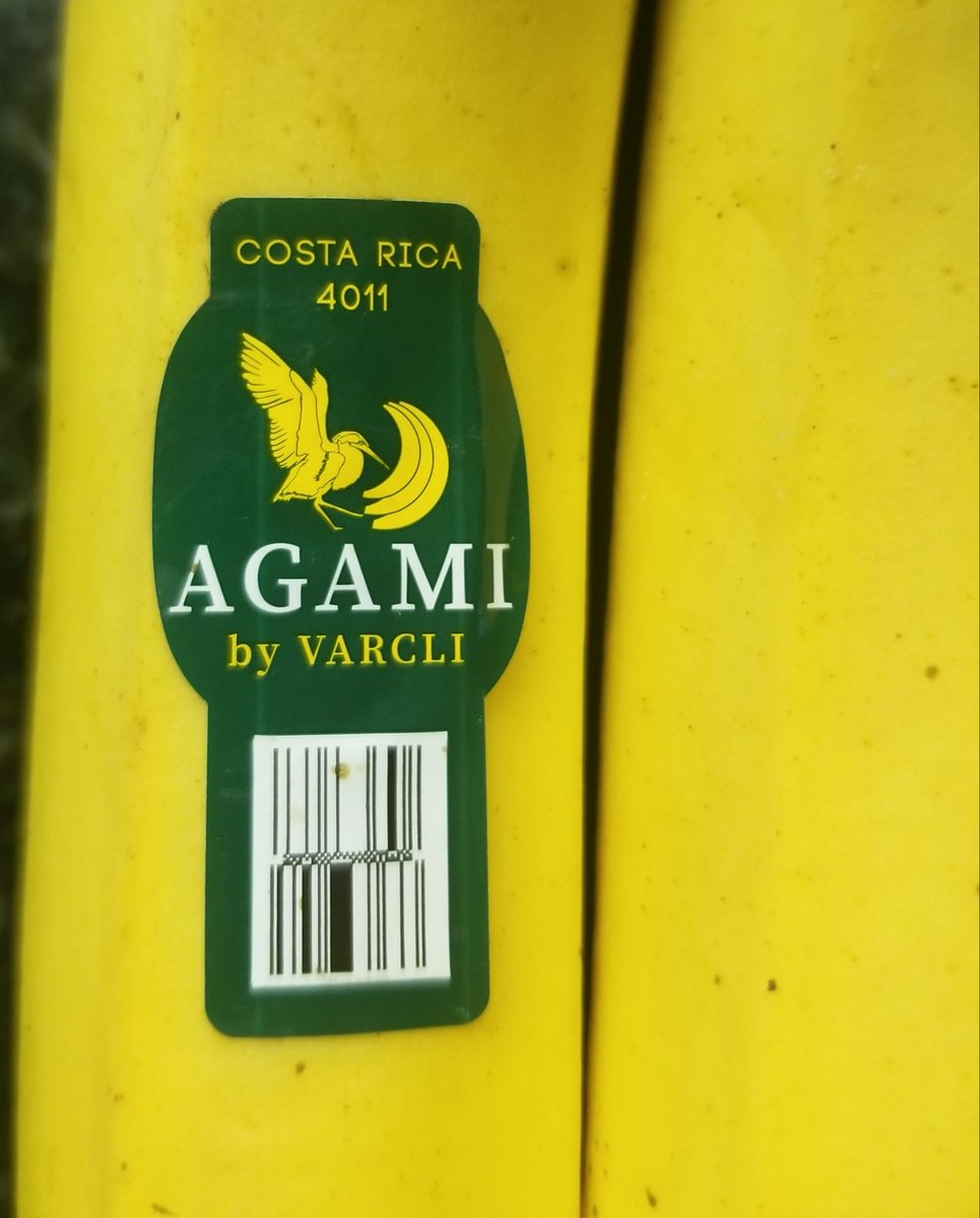 Spike Millington tweet media