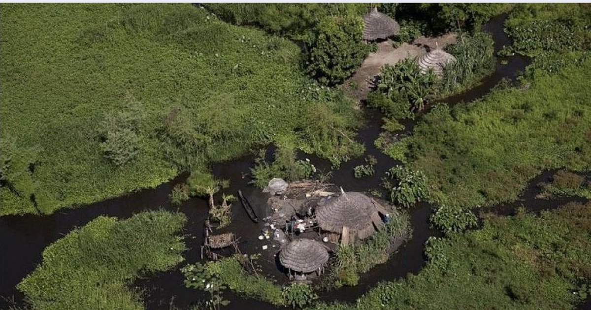 Sudd👇, is the largest tropical wetland in the world. It covers a vast area of seasonal and permanent #Wetlands at the confluence of the main tributaries of the White Nile in South Sudan &amp; attracts thousands of migratory birds!

This management strategy (2022-2025) came out of