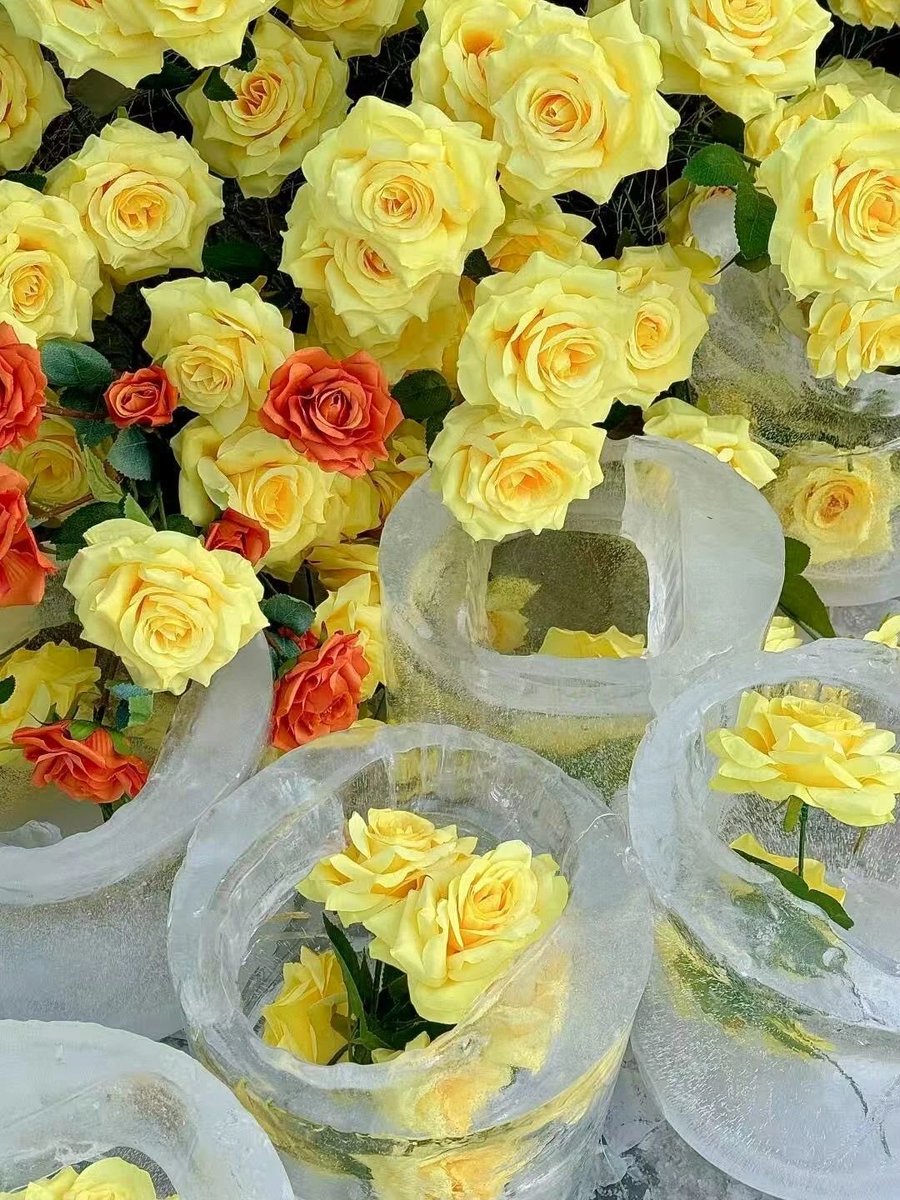 visitheilongji1's tweet photo. Ready to dive into a winter dream even Liu Yifei CAN’T RESIST? 🌟 Overflowing with romantic spirit, Harbin’s FROZEN YELLOW ROSES are calling—are you ready to say yes? 💐❄️

#vacation #TravelPhotography #TravelChina #winterinheilongjiangchina https://t.co/Fgv2vk91WB