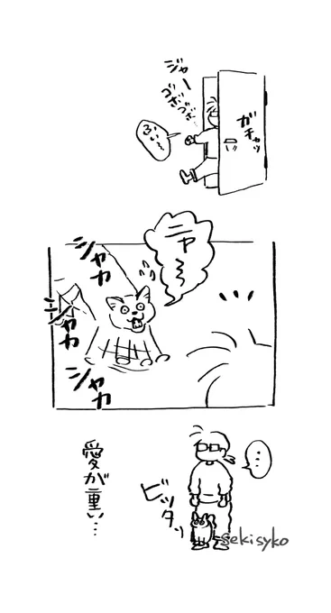 雑日記
以前股関節の手術で三ヶ月近く入院したあと退院して家に帰った時以上に存在を求められています
寒いから? 