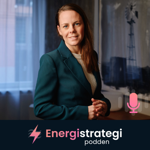 Det är dags för årets nästsista avsnitt av Energistrategipodden. Vi samtalar med Emelie Zakrisson, Sverige-vd, OX2, projektutvecklare inom energibranschen som utvecklat projekt inom såväl landbaserad vind, sol &amp; batterier.

🎧sigholm.se/energistrategi…

#eltwitter #energitwitter