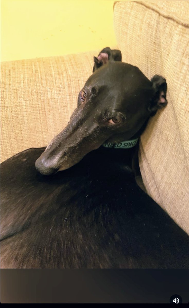 When they say " I think I lost money on you. Hur Hur" 
#CutTheChase
#YouBetTheyDie