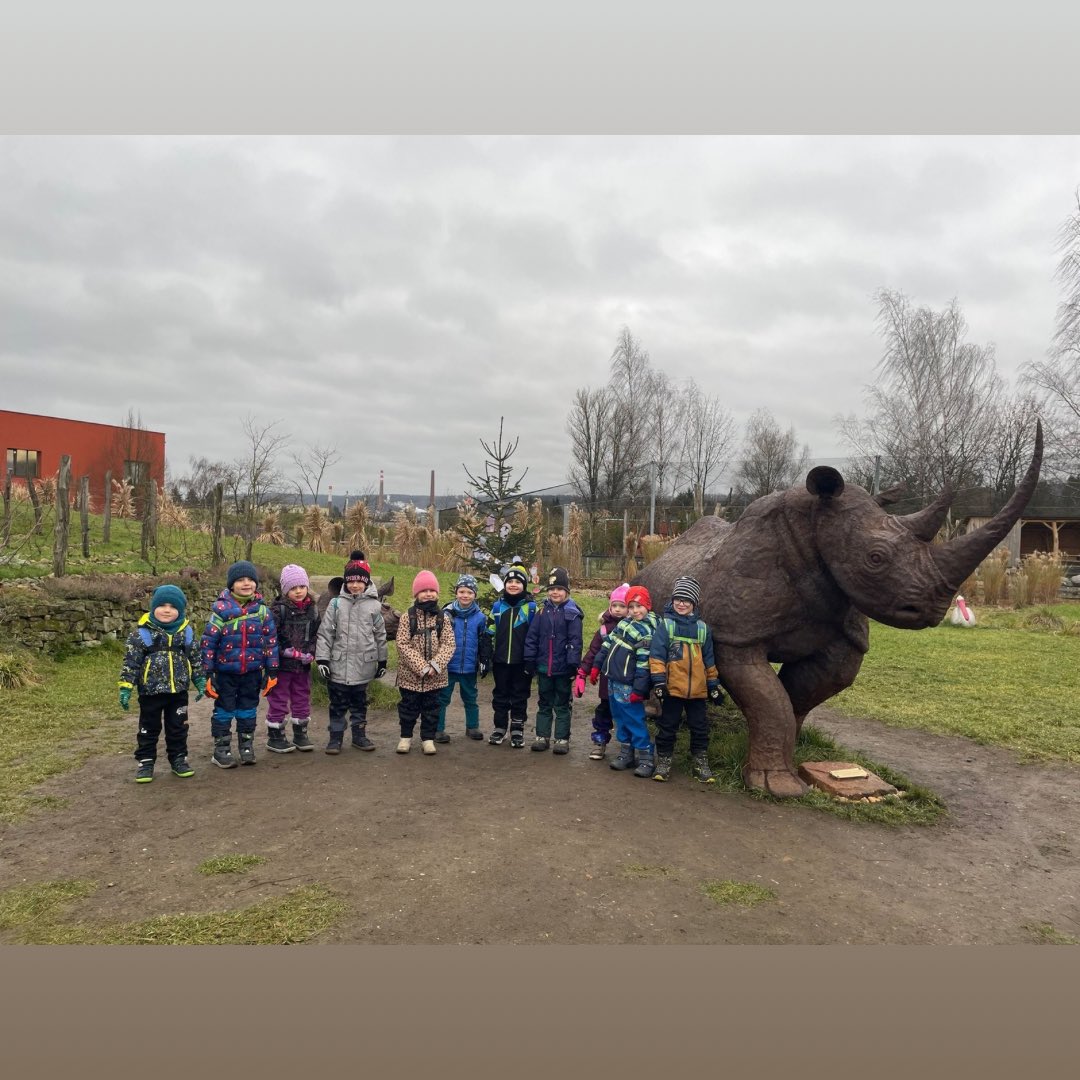skolamachov's tweet image. ZOO 🦒🦍🐧
Společný výlet 1., 2., 3. a ježečkové třídy do @safariparkdvurkralove . Tady ještě pár fotek ježečků.
#skola #skolka #vylet #zoo #school #kindergarten
