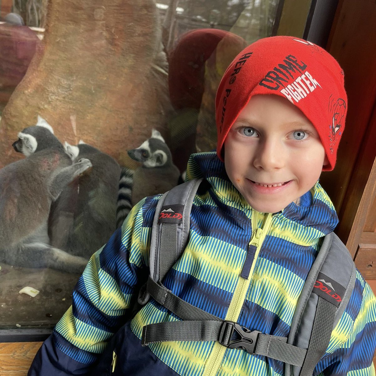 skolamachov's tweet image. ZOO 🦒🦍🐧
Společný výlet 1., 2., 3. a ježečkové třídy do @safariparkdvurkralove . Tady ještě pár fotek ježečků.
#skola #skolka #vylet #zoo #school #kindergarten