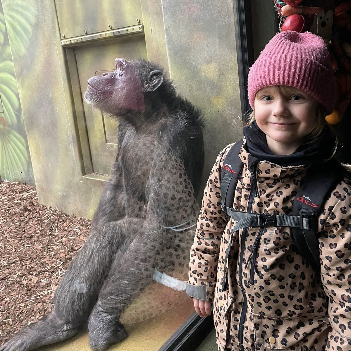 skolamachov's tweet image. ZOO 🦒🦍🐧
Společný výlet 1., 2., 3. a ježečkové třídy do @safariparkdvurkralove . Tady ještě pár fotek ježečků.
#skola #skolka #vylet #zoo #school #kindergarten