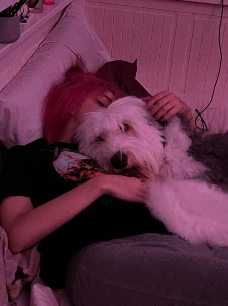 baadface2's tweet photo. puedo afirmar casi sin miedo a equivocarme que dormir juntas es nuestra cosa favorita https://t.co/AUKXK8vj0n