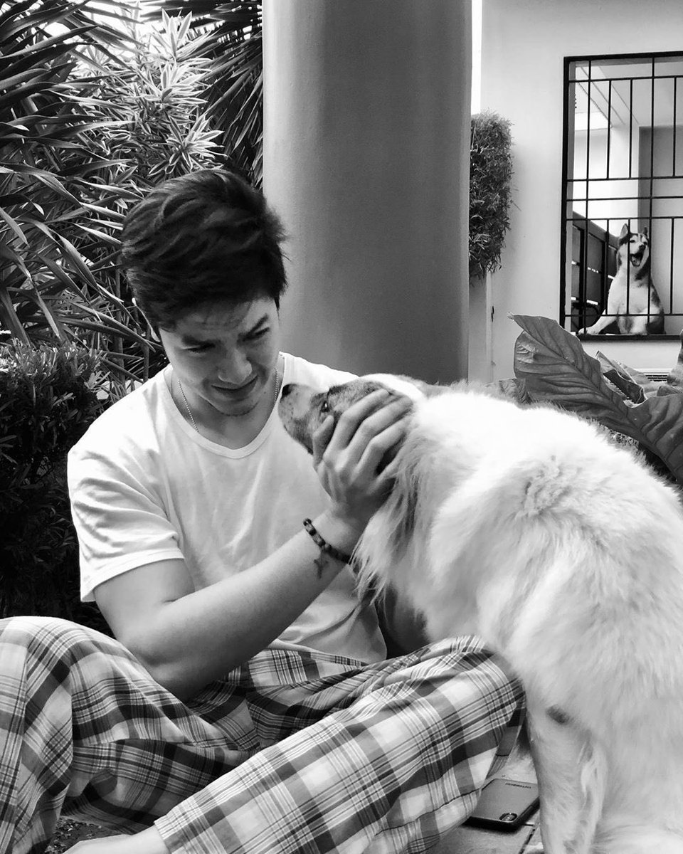 RicFaulkJr's tweet photo. @aldenrichards02 #EverydayAlden 🐶🤗💙
#AldenRichards
#Tisoy
#HelloLoveAgain https://t.co/0UI9cDM9WR