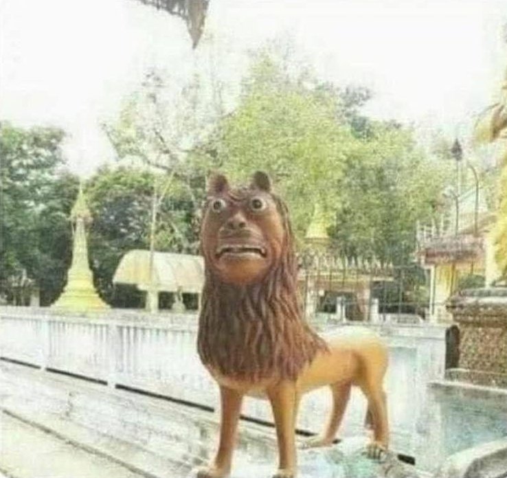 Sir_muba's tweet image. Motivation speaker: unleash the lion in you

The lion in me: 😏