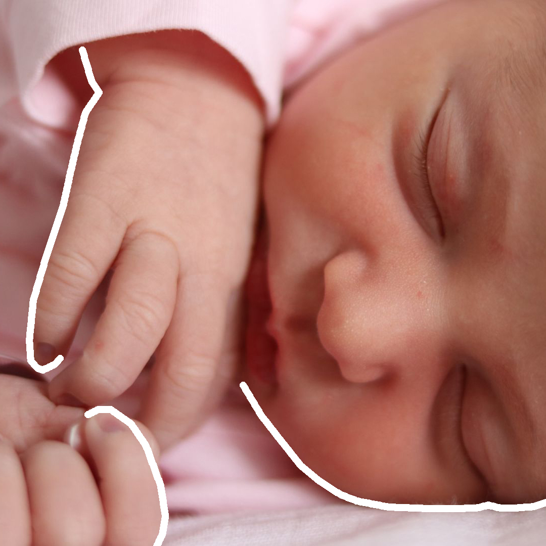 Compañía de Jesús tweet media