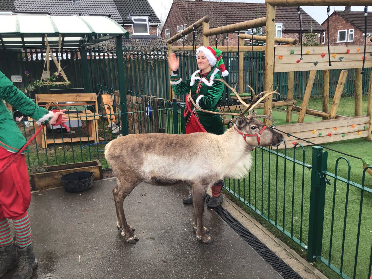 spstyear2 tweet media