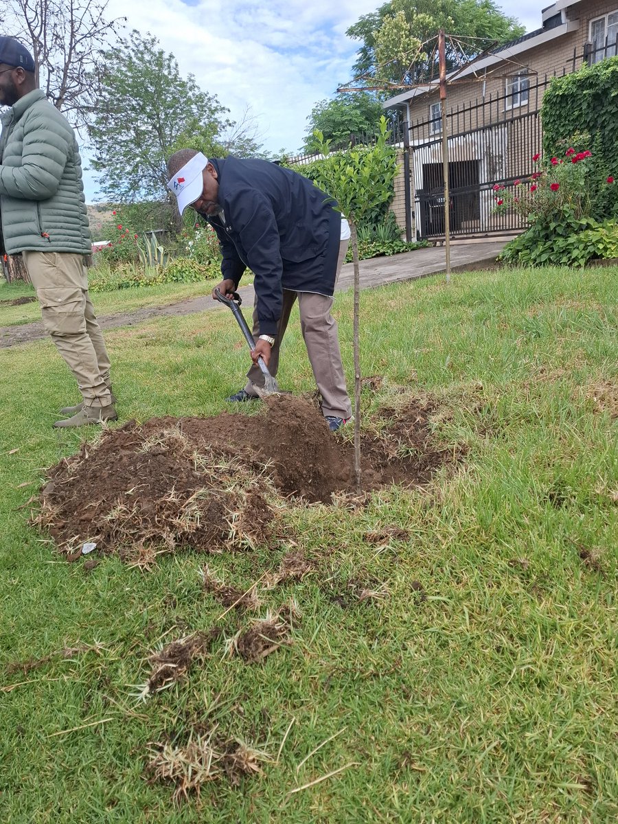 🌳 In celebration of 30 years of renewed diplomatic ties, the Ministry of Foreign Affairs 🇱🇸, the Chinese Embassy 🇨🇳, and partners planted trees at Hoohlo Park, Maseru. Hon. Lejone Mpotjoana emphasized the role of trees in sustainability &amp; climate action. 🌍 #LesothoChina30