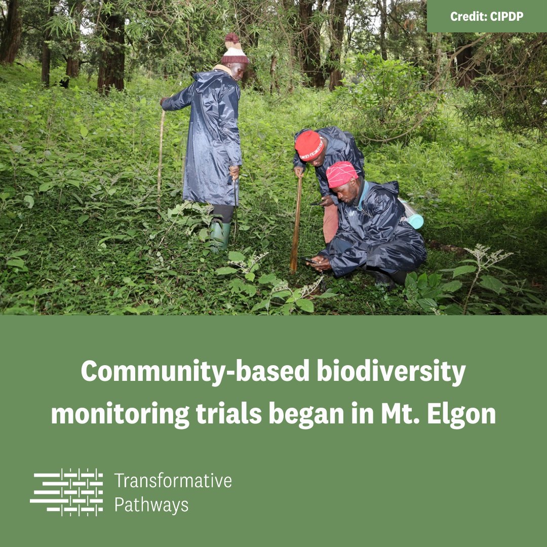 #Kenya

#Indigenous communities trial new biodiversity monitoring tools in Mt. Elgon🌍

These tools, along with traditional techniques, allow the community to record data to assess the state of #biodiversity on their lands 🌿

👉 transformativepathways.net/community-base…

#TransformativePathways