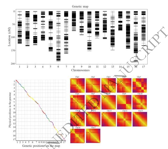 Hortres's tweet photo. Apple fruit firmness regulated by MdNAC5 allele variations. #FruitBreeding @OxfordJournals 
Details:https://t.co/DiOx3hjUFM https://t.co/BQKSBV3J5M