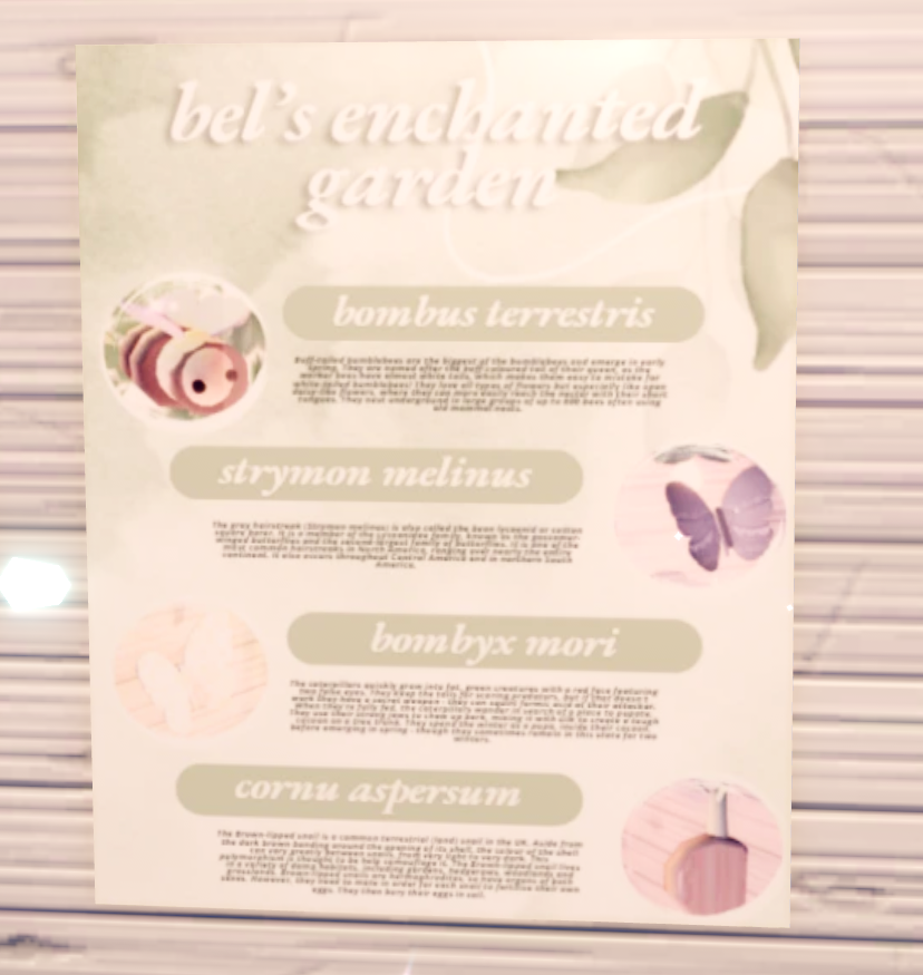 aubelion_RH's tweet photo. this place is bustling with wildlife, so i included a chart ! i can't wait to add to my garden, and attract more animals to my balcony, stay tuned 🫶 https://t.co/U63Y7t1H09