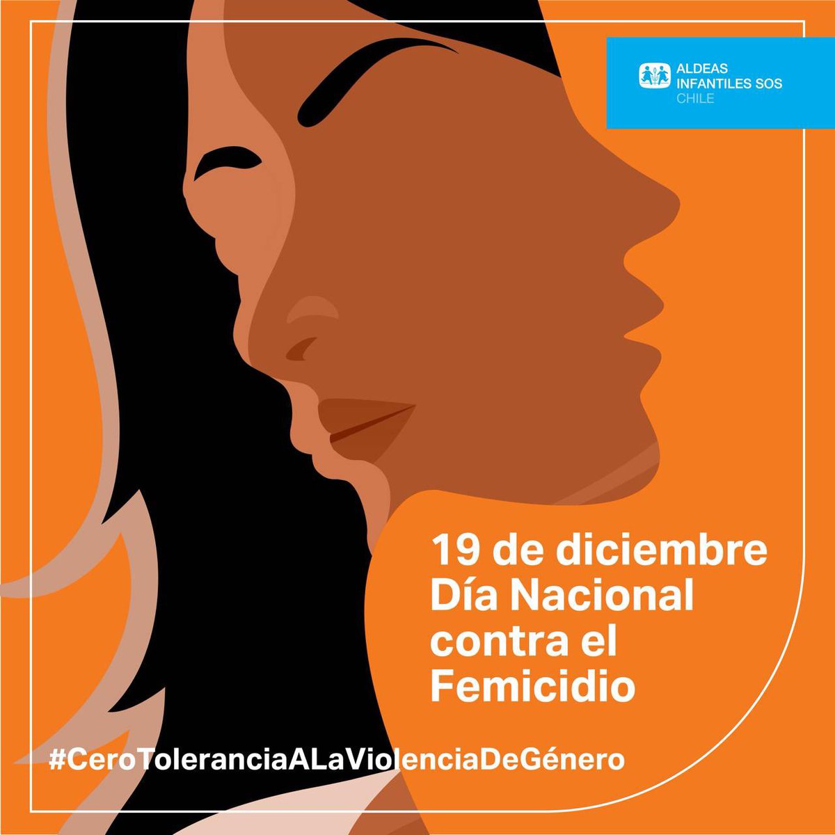 aldeassoschile tweet media