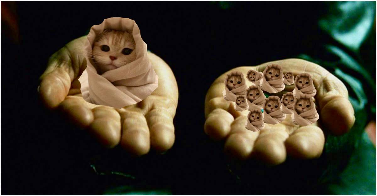 You have 7 days to load up on $GM.

$GM has been going sideways for 2 days around $1M cap now. 

Retails, last chance!