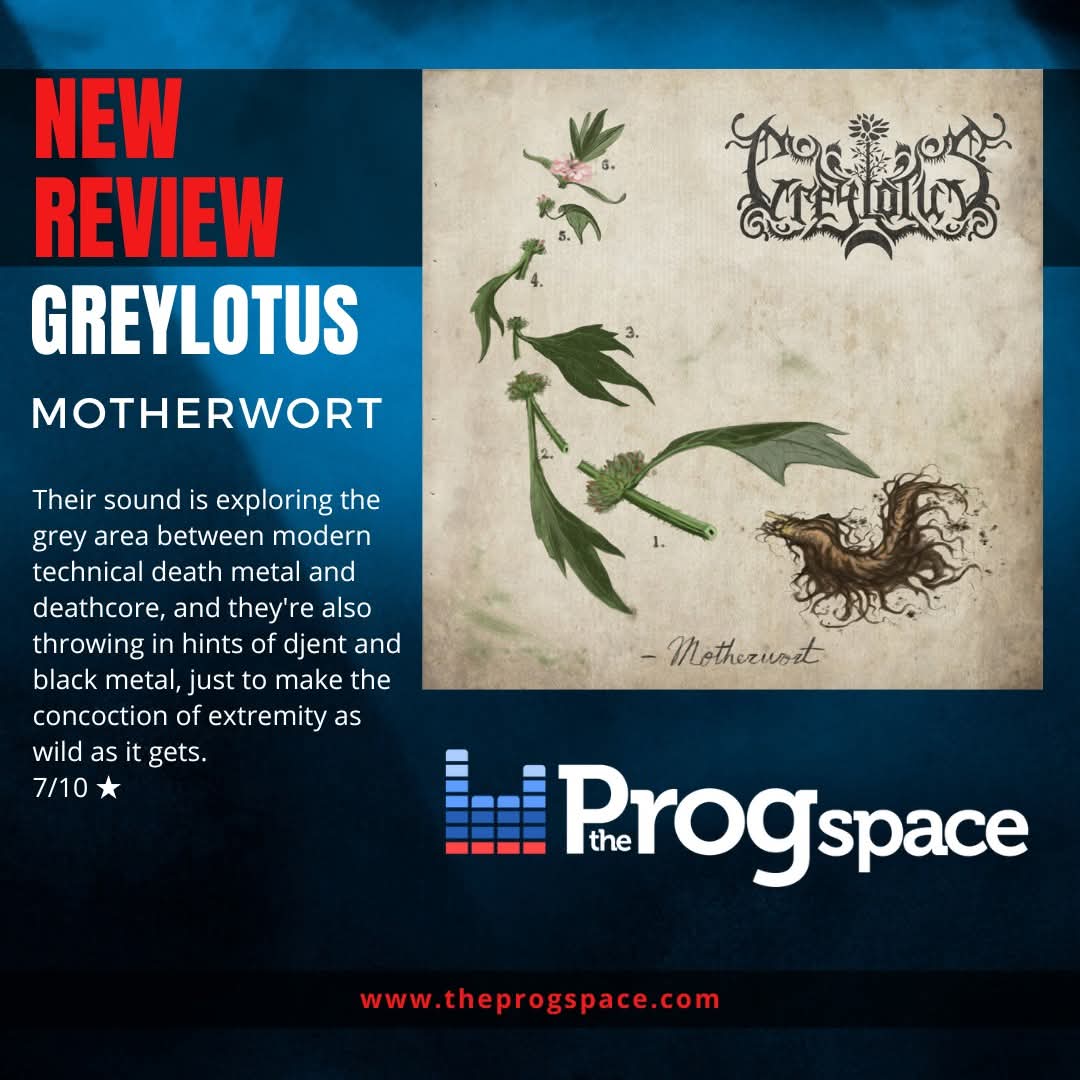 theprogspace's tweet image. 🔥🔥 NEW ALBUM REVIEW 🔥🔥
"Motherwort", the latest EP from Greylotus is storm of technicality, complexity and brutality, that even technical death metal fans might not be ready for. Check out our review here:
theprogspace.com/greylotus/