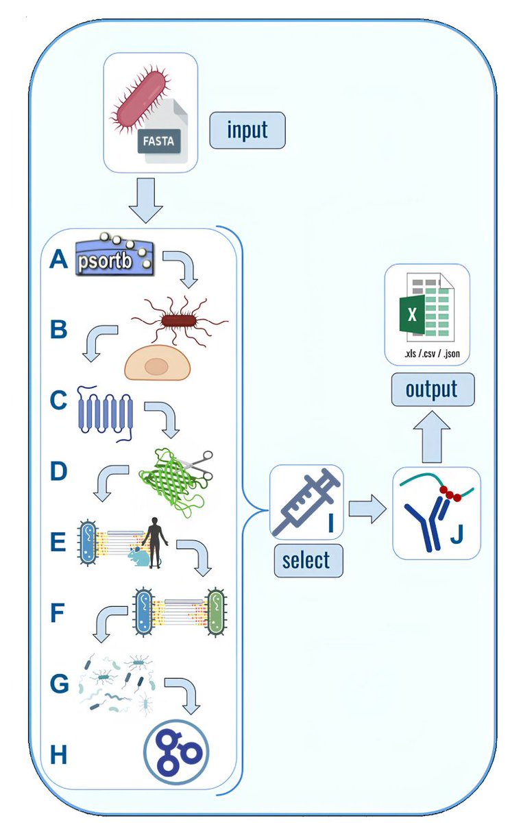 NERVE 2.0: Boosting the New Enhanced Reverse Vaccinology Environment via Artificial Intelligence and a User-Friendly Web Interface

1. NERVE 2.0 introduces updates to reverse vaccinology with AI-powered tools and a web interface, aiming to simplify vaccine candidate