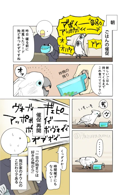 幸福指数に関して意識が高いオウム🐤 