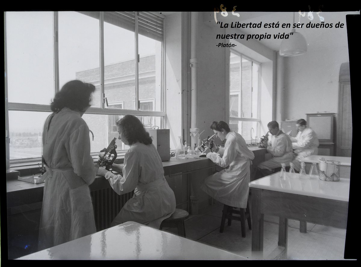 Desde el Archivo de la UCM queremos desearos unas felices fiestas, llenas de cariño y felicidad, y un próspero año 2025🎄😊.