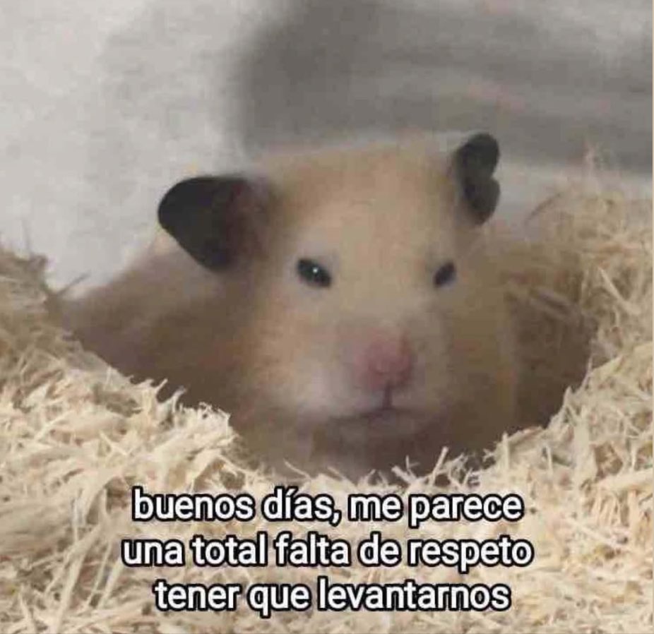 Guarromantico_'s tweet photo. Buenos días! https://t.co/o4XNskHSUz