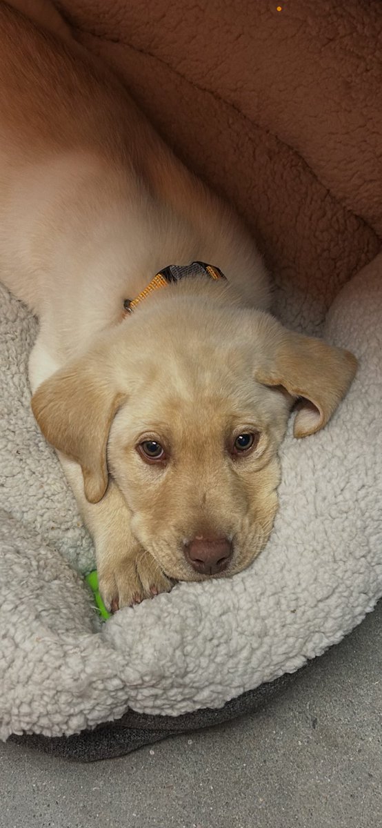 brady finton tweet media