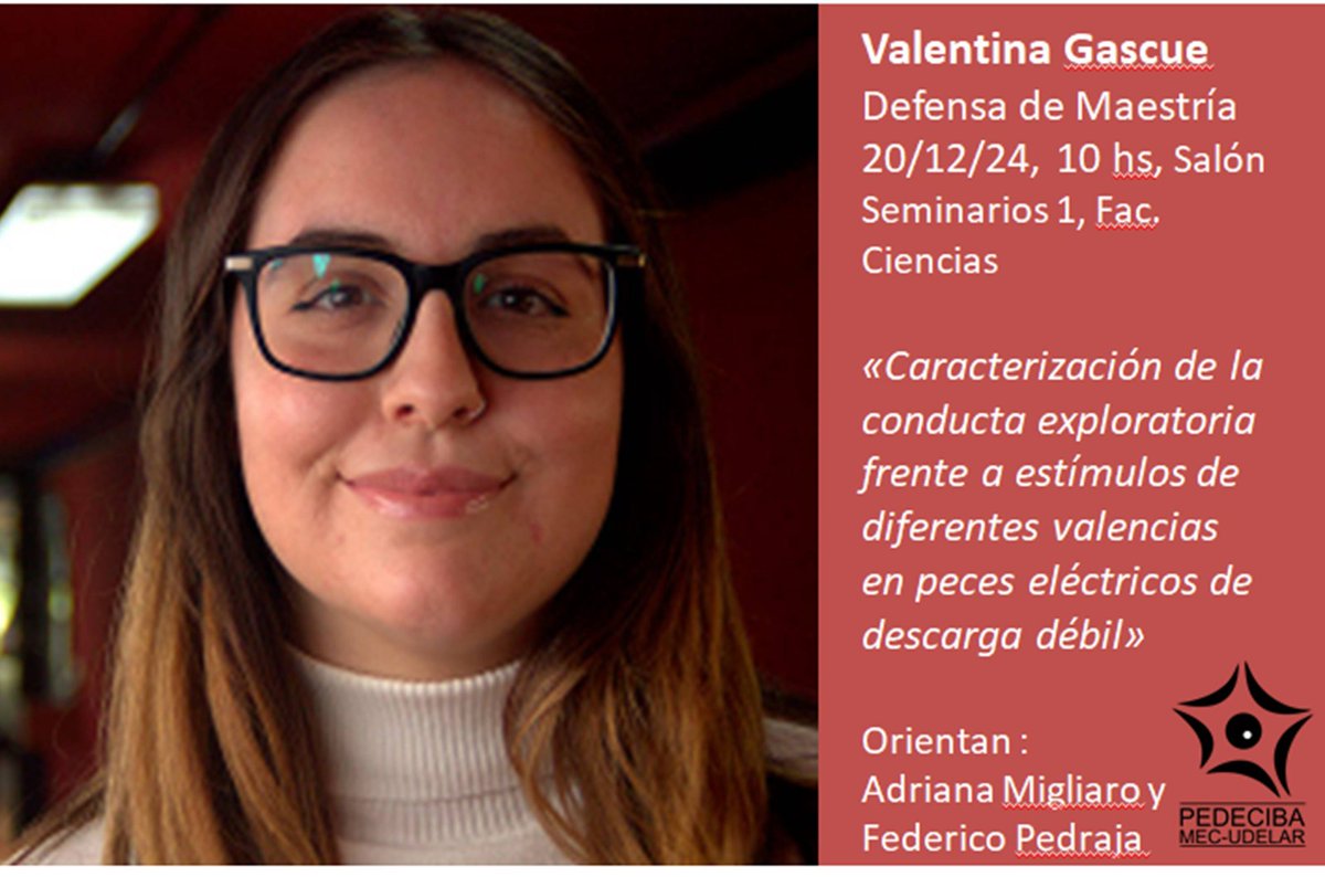 BConducta's tweet image. Mañana viernes 20/12, 10 hs, no se pierdan la defensa de Maestría PEDECIBA de nuestra querida Valen Gascue! 💜 Un trabajo sobre diferentes aspectos de la conducta exploratoria, orientado por @AdrianaMigliaro y Federico Pedraja. Salón seminarios 1, Fac. Ciencias. ⚡️🐟⚡️