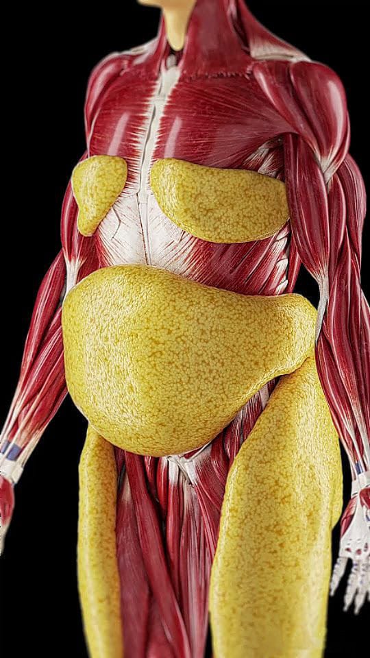 "La culpa es de mi METABOLISMO" dicen muchos.

No, la culpa de que no pierdas GRASA es de TODO esto 👇