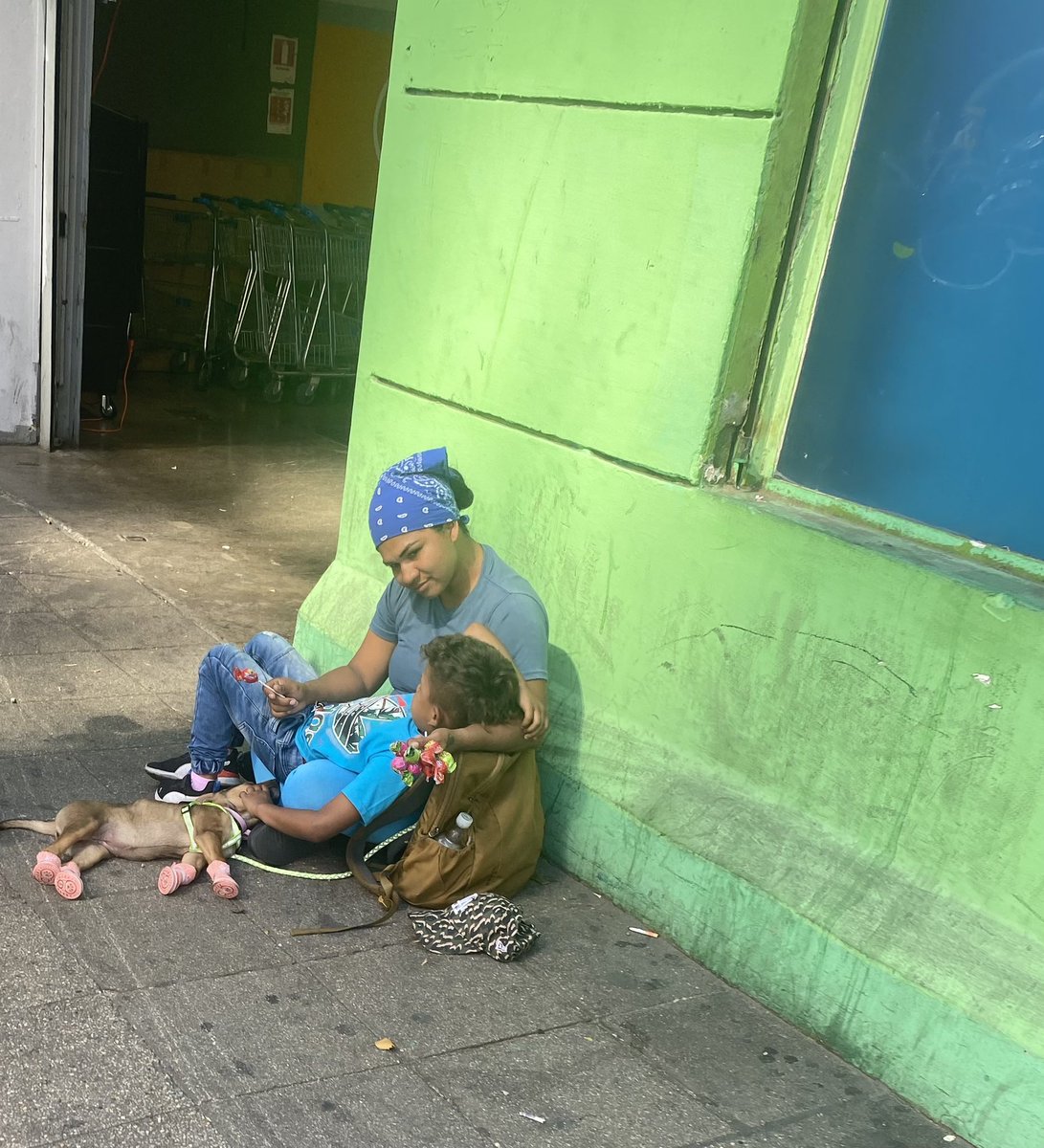 AlbertJulian13's tweet photo. 📢Seguidora avisa:Afuera del líder de Antonio bellet para una venezolana con 2 niños pidiendo plata y siempre paran con un 🐕 qe parece drogado porqe nunca se mueve una persona le trato de dar unos panes y no los recibió porque sus hijos no comen pan nos preocupa el animalito😔 https://t.co/MLKnOGv7cT
