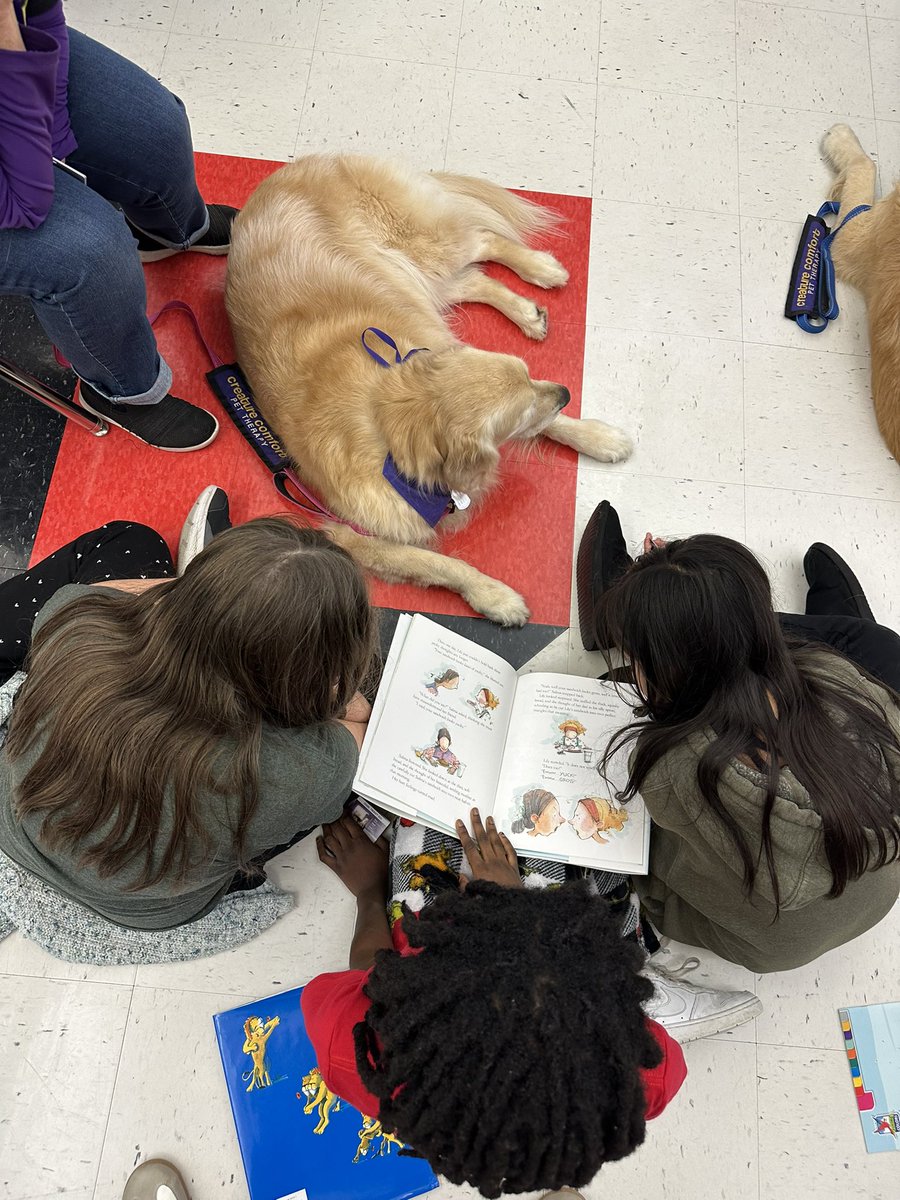 Christina Capone tweet media