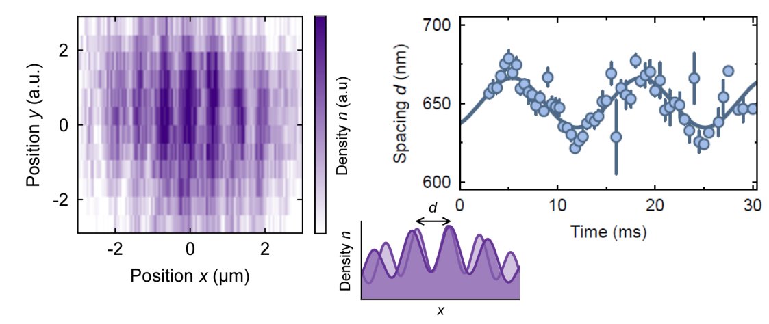 "Probing supersolidity through excitations in a spin-orbit-coupled Bose-Einstein condensate"  Discover the latest manuscript of the potassium lab: we have observed in situ supersolid stripes and probed their fascinating dynamics.  arxiv.org/abs/2412.13861

<a href="/ICFOnians/">ICFO</a> <a href="/UABBarcelona/">Universitat Autònoma de Barcelona</a>