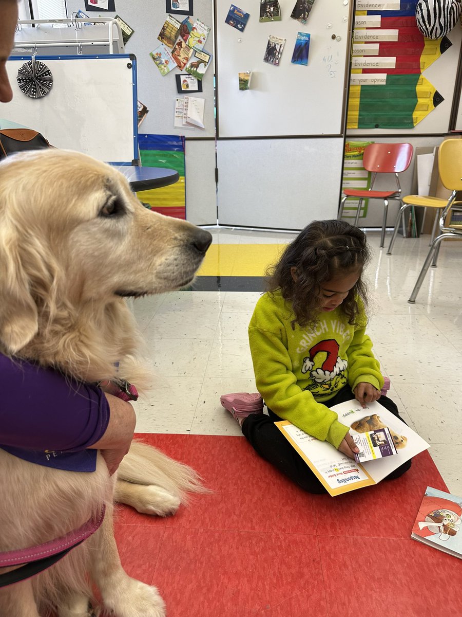 Christina Capone tweet media