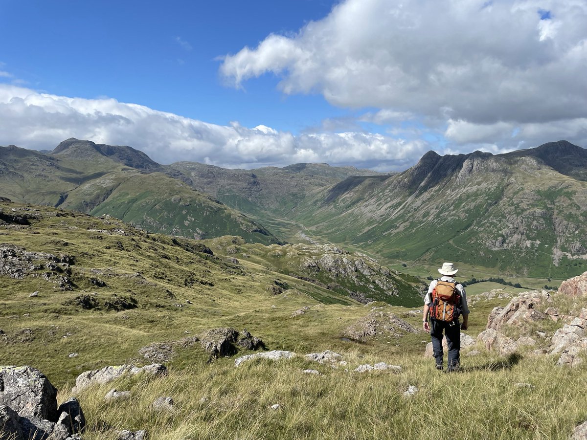 Dr Ed McGowan tweet media