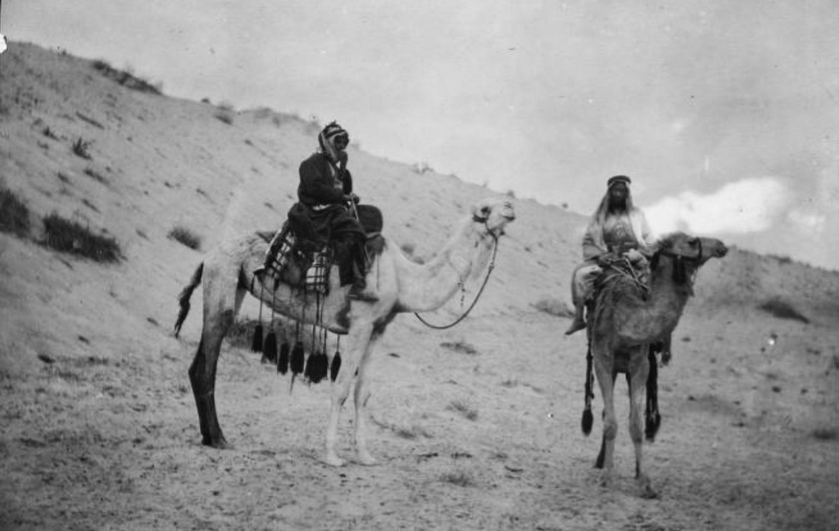 moham1387's tweet image. زايد بن محيلان المرتعد العنزي
حامد بن فندي الفقير العنزي
عام 1914 م بالقرب من آبار الحيزاء و حيزان في النفود الكبير .تصوير Gertude Bell
Newcastle University /م