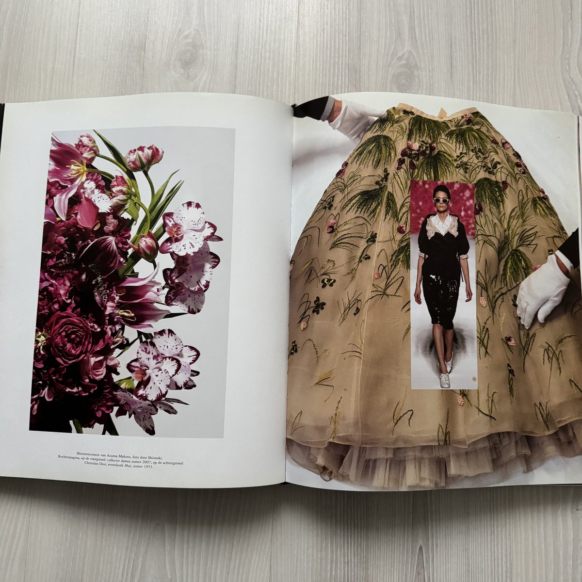 Sadefinds tweet media