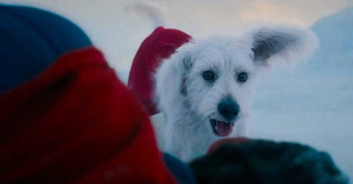 cjsweet567's tweet photo. @Superman @Klutch_23 @IMAX MY BOY KRYPTO 🔥🔥🔥 https://t.co/P3hQo9tKgG