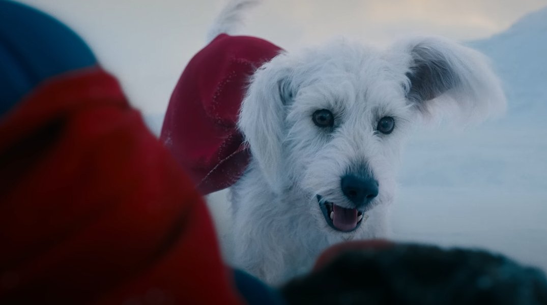 cucho_cl's tweet photo. Acabo de ver el trailer de #SupermanMovie  y ya amo al perrito https://t.co/0Ltrm7xiJg
