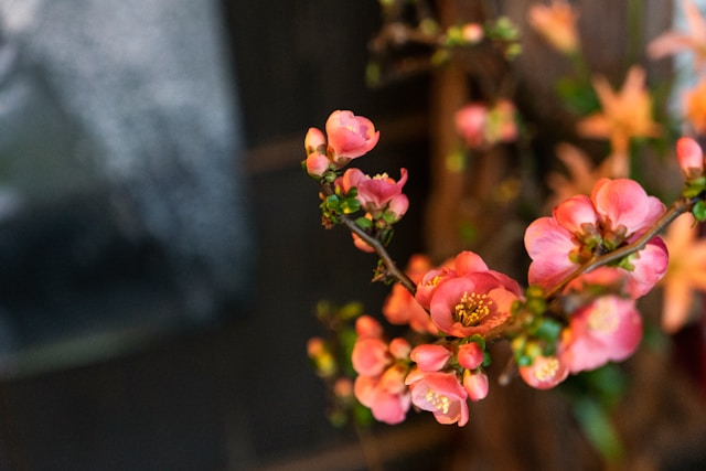 けんさん💛旅する写真家💚ありがとう魔法のカウンセラー🪄✨💫🌟 tweet media