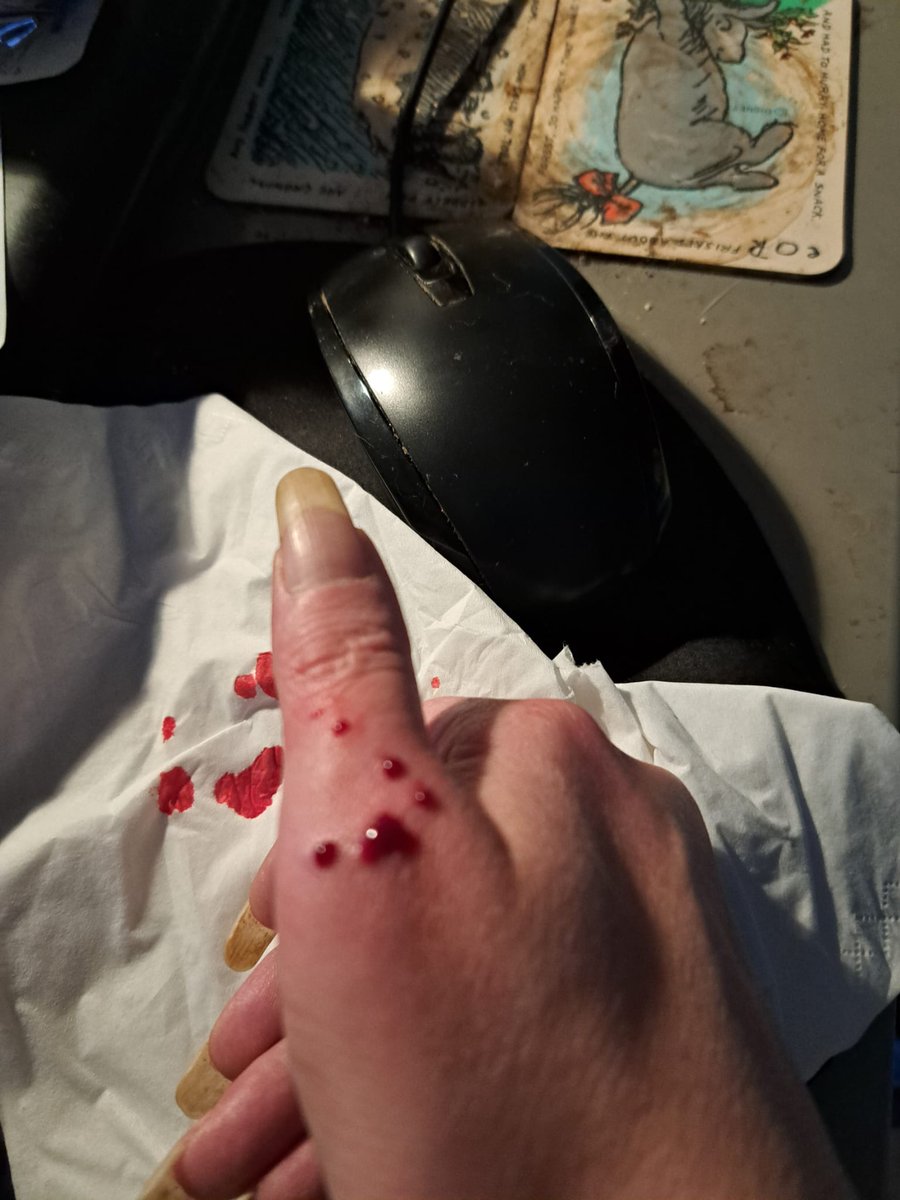 Jirikis1's tweet image. Ow goddomme, Lobo!
#koningspython #ookeenseenkeermeegemaakt