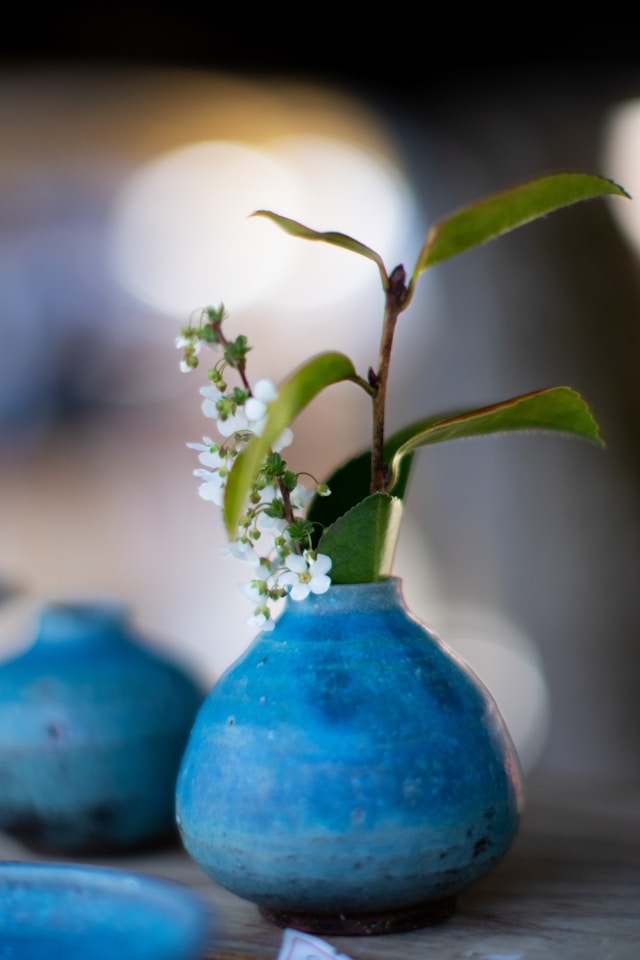 けんさん💛旅する写真家💚ありがとう魔法のカウンセラー🪄✨💫🌟 tweet media