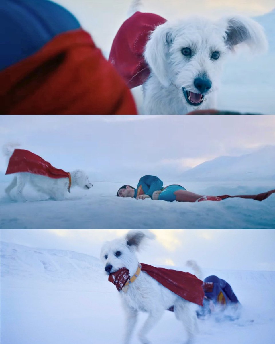 NewRockstars's tweet photo. Krypto, home. Take me home. #SUPERMAN https://t.co/OMtr6zzxkq