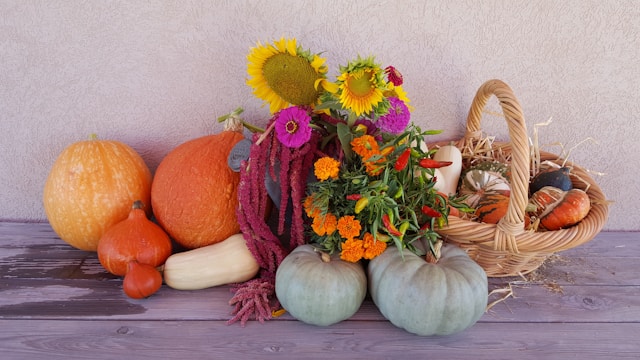 けんさん💛旅する写真家💚ありがとう魔法のカウンセラー🪄✨💫🌟 tweet media