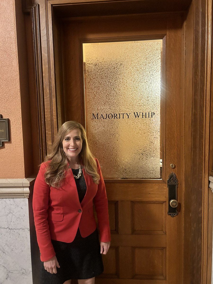 Ohio Senator Theresa Gavarone tweet media