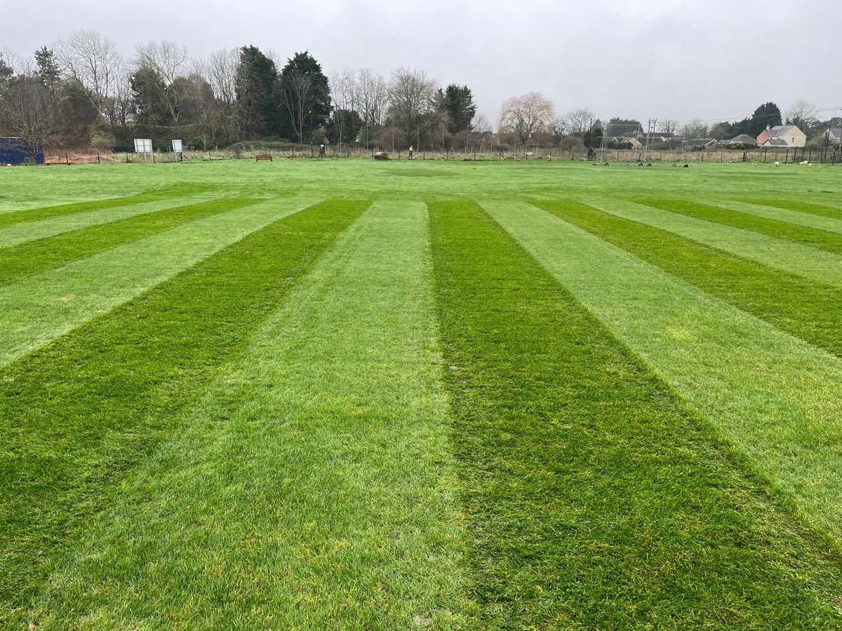 Square looking in great condition.

Thanks <a href="/MrGroundsman/">Mr Groundsman</a> for the great work as always!
