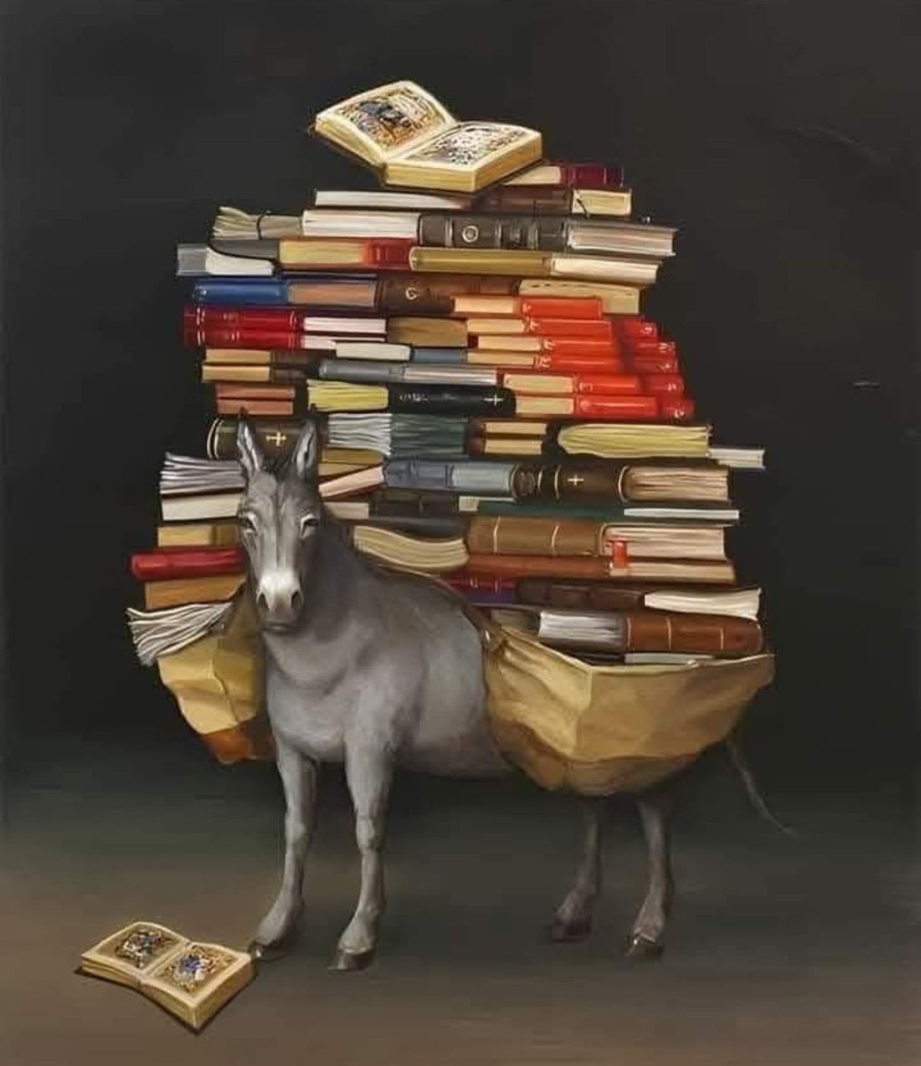 "ليس كلُّ من حملَ الكتبَ تزوّدَ بالحكمة، فالمعرفةُ ليست في ثقلِ الأوراقِ، بل في سموِّ الفهمِ وعمقِ الإدراك."