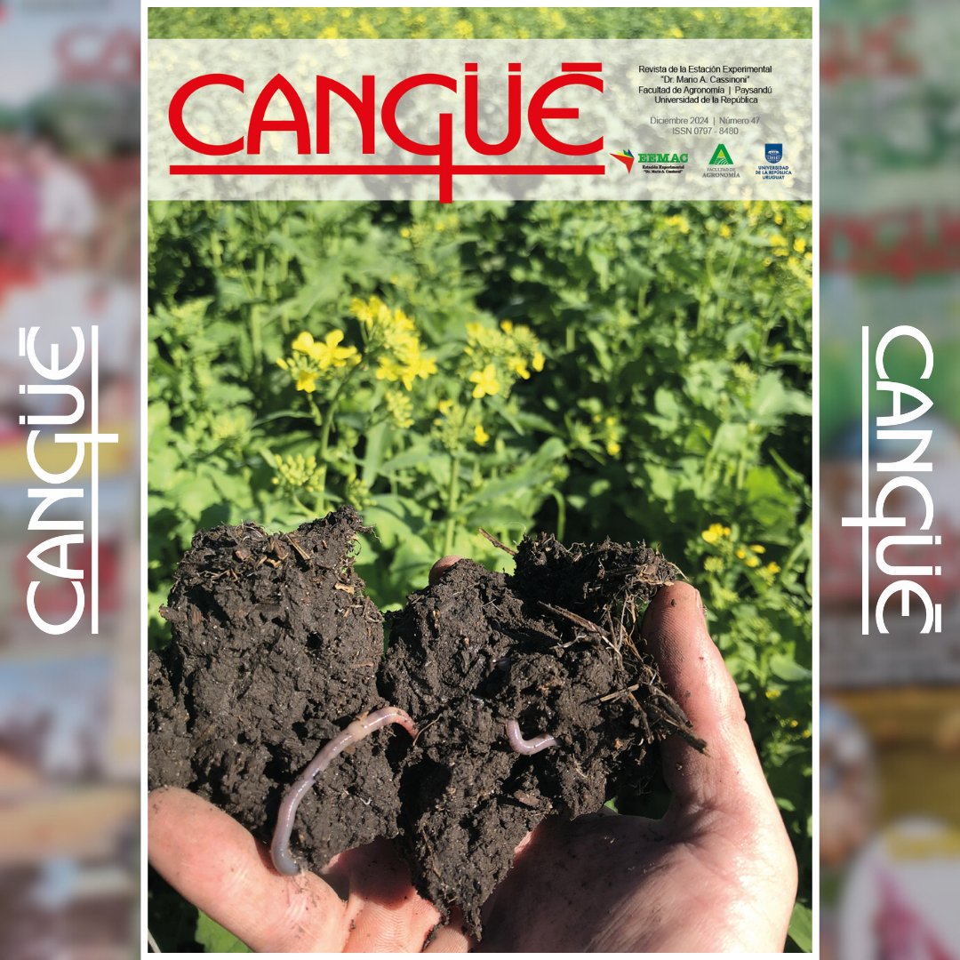 📖 Cerramos el año publicando una nueva edición de la revista 𝙲𝚊𝚗𝚐üé de la EEMAC.
Esperamos sea del agrado y utilidad para estudiantes, profesionales, sector agropecuario y para toda la comunidad universitaria.
🔗cangue.eemac.edu.uy
✔️Leela
✔️Guardala
✔️Compartila