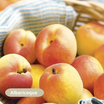 ¿Entramos en el control de enfermería del Hospital Los Madroños?
Andrea y Alberto tienen un entendimiento especial entre ellos. Son los responsables de enfermería👩‍⚕️ y los que coordinan el día a día del equipo.

#EVEN #lesionmedular